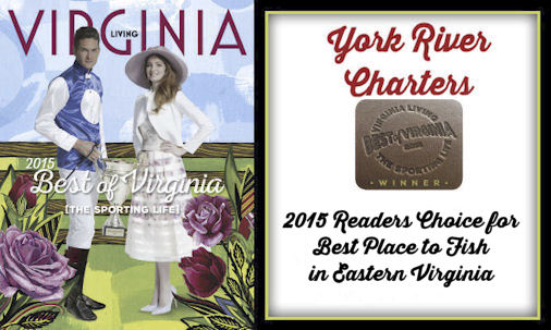 Best of Virginia 2015 Banner image