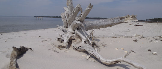 VA Chesapeake Bay Fishing Charter Boat photo