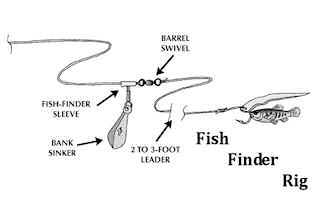 VA Chesapeake Bay live baiting rig diagram