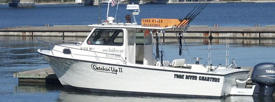 Williamsburg Fishing Charters photo