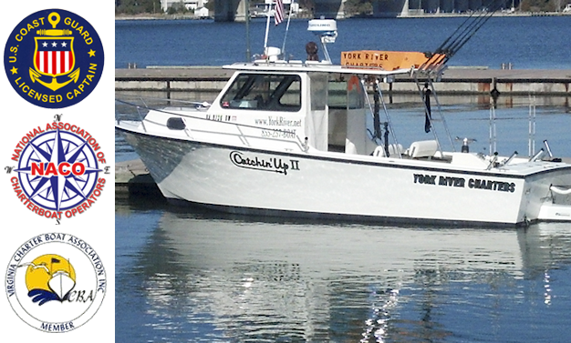 Williamsburg, Virginia fishing charter and sightseeing tour boat photo