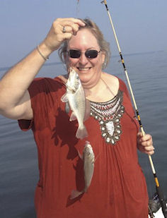 Chesapeake Bay Croaker photo