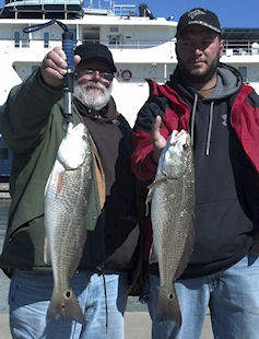 Chesapeake Bay Red Drum (Redfish) photo