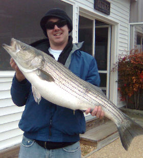 VA Chesapeake Bay Rockfish photo