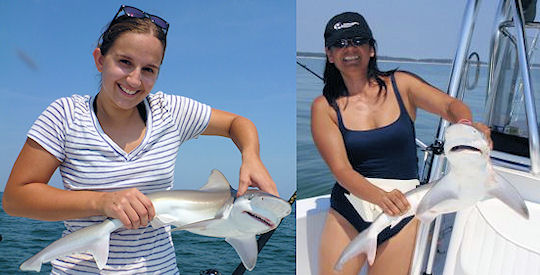 Chesapeake Bay Shark fishing photo