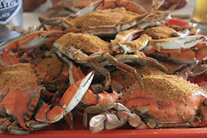 Photo of Steamed Blue Crabs