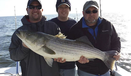 Chesapeake Bay trolling fishing photo