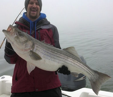 Chesapeake Bay Striped Bass photo