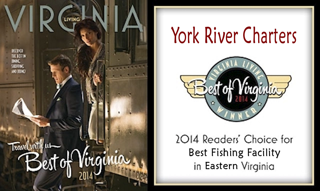 Best of Virginia 2014 Banner image